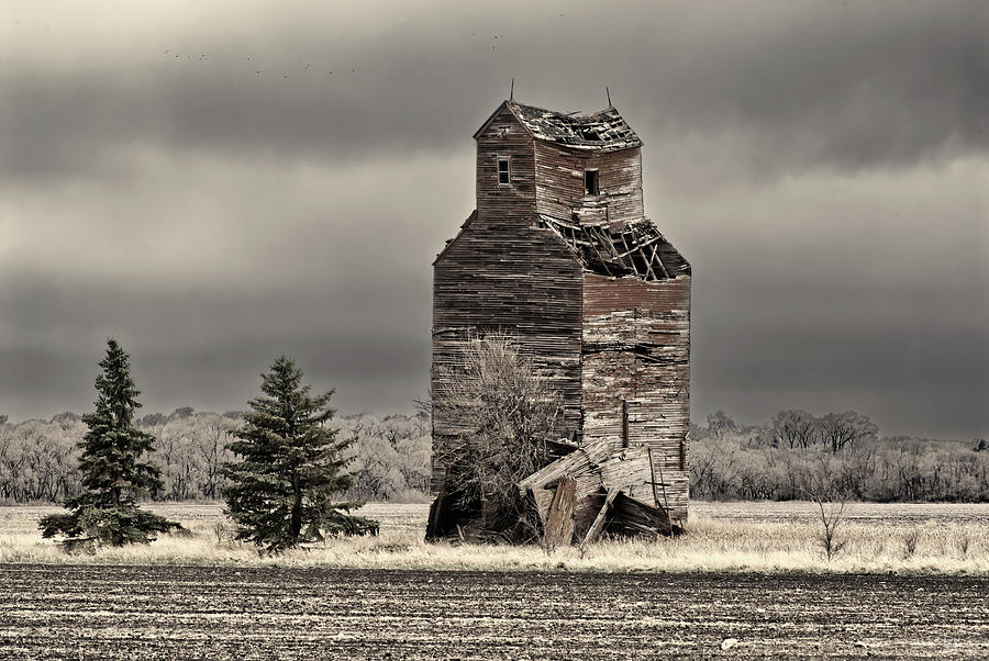 Last Stand at Roseville Elevator - collapsing elevator in rural eastern ND ghost town of Roseville Photograph by Peter Herman