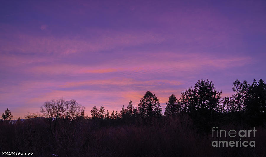 last sunset of 2020 at El Dorado National Forest Photograph