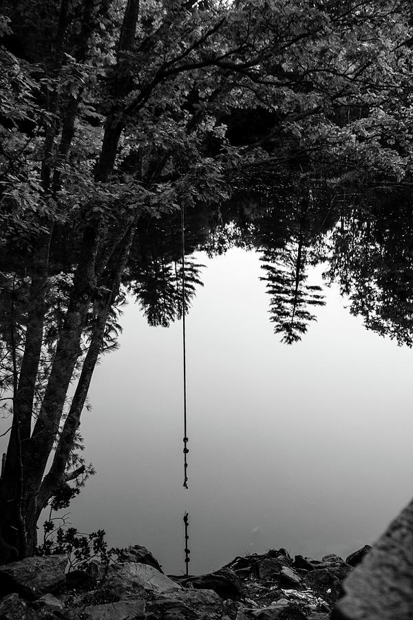 Last Swing of Autumn BW Photograph by Benjamin Roberts
