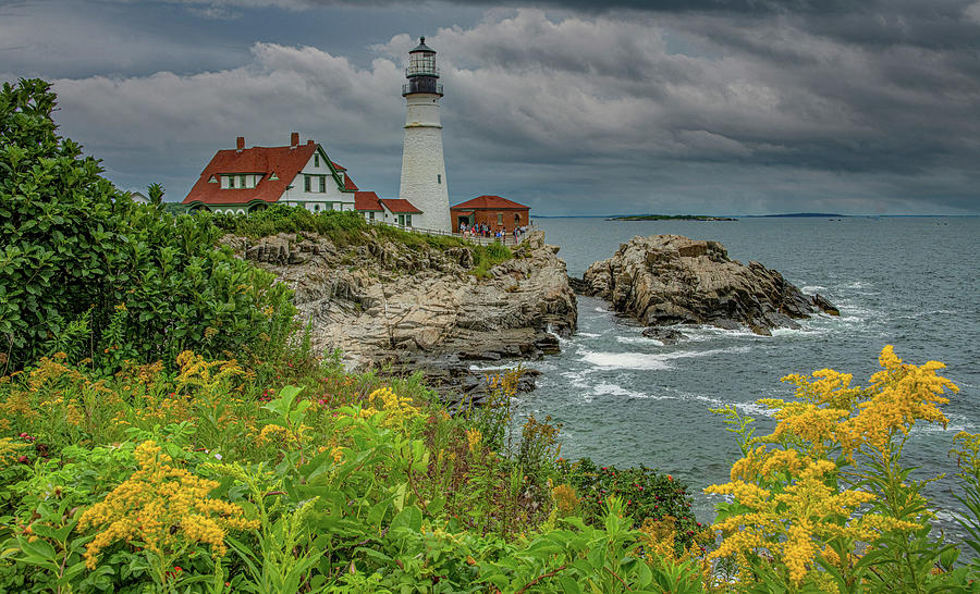 Late Afternoon at Portland Head Light, Maine Photograph by Marcy Wielfaert