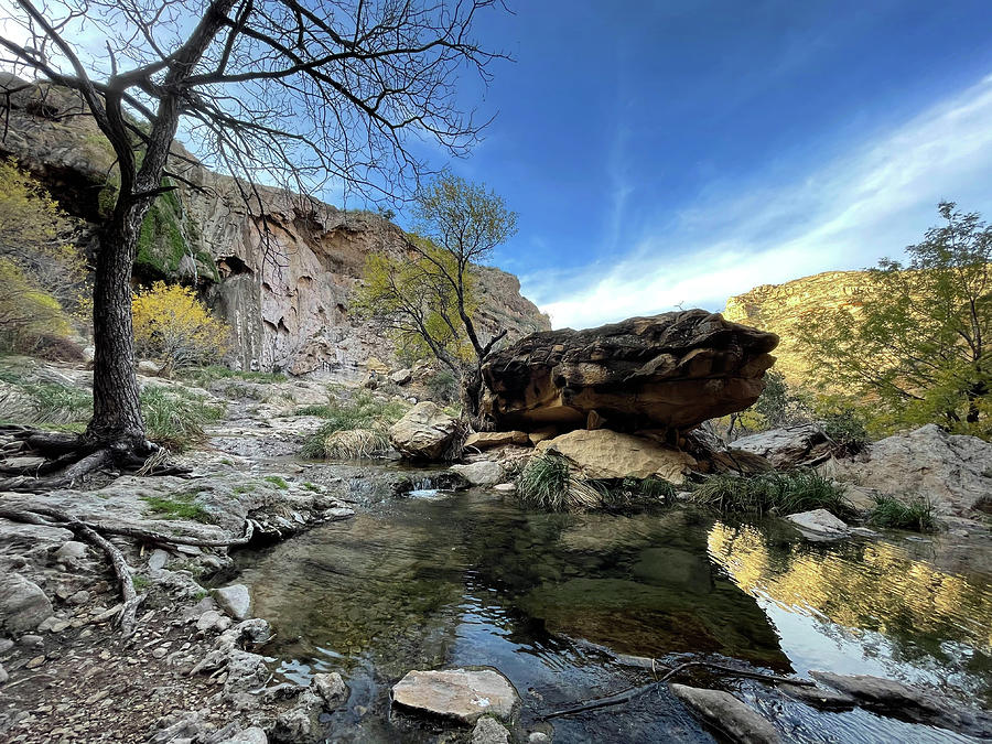 Late Autumn Colors - Sitting Bull Falls, Guadalupe Mountains, New Mexico Photograph by Richard Porter