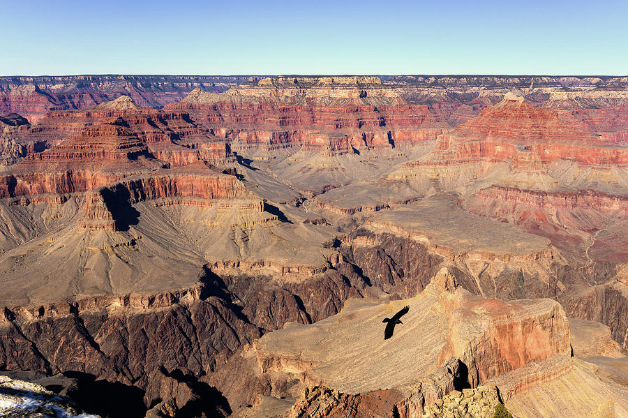 Late Afternoon in the Grand Canyon Photograph by Donald Tredinnick Late Afternoon in the Grand Canyon Photograph by Donald Tredinnick