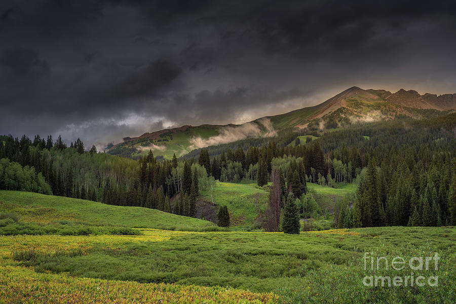 Late Afternoon Near Crested Butte Photograph by Priscilla Burgers