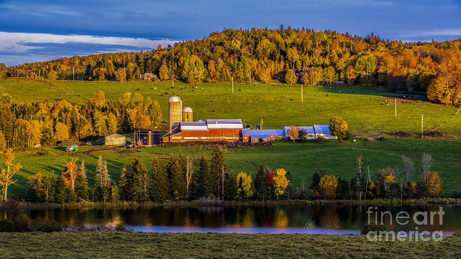 Late Afternoon near Danville Vermont Photograph by New England Photography