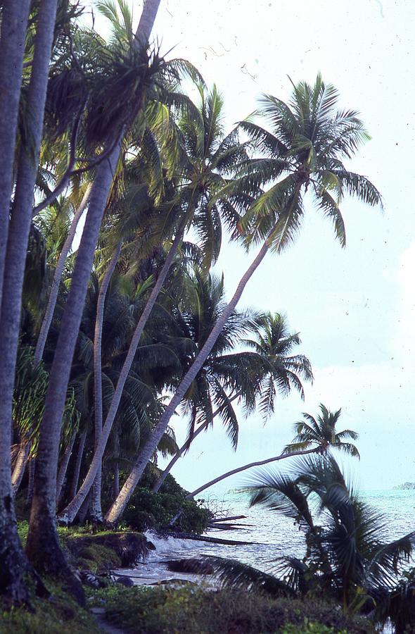 Late Afternoon on Majuro Lagoon Marshall Islands Pacific Photograph by ...