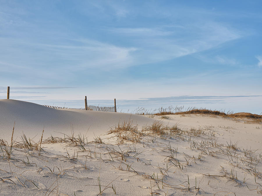 Late Afternoon On Wind Blown Sand Dunes Photograph