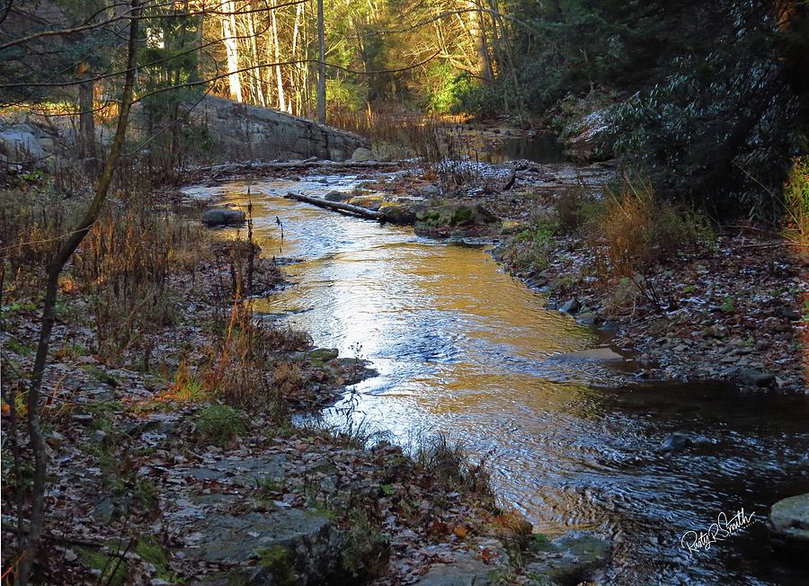 Late afternoon sun on Wyk off Run,Pennsylvania by Rusty R Smith Late afternoon sun on Wyk off Run,Pennsylvania by Rusty R Smith