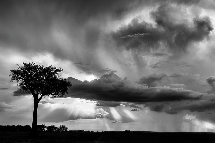 Late -afternoon thunderstorm in the Masai Mara Photograph by Murray Rudd
