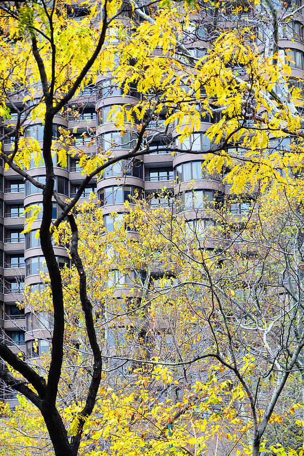  Late Autumn - A Murray Hill Impression Photograph by Steve Ember