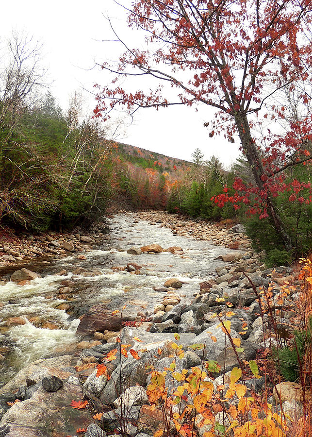 Late Autumn by Mad river headed to the Valley Photograph by Nancy Griswold