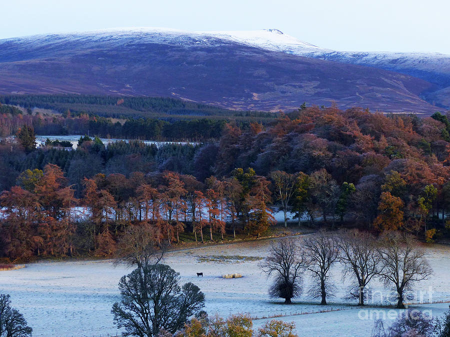 Late Autumn Colours - Ballindalloch Photograph by Phil Banks