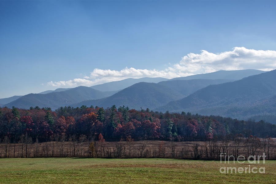 Late Autumn in Cades Cove Photograph by Phil Perkins
