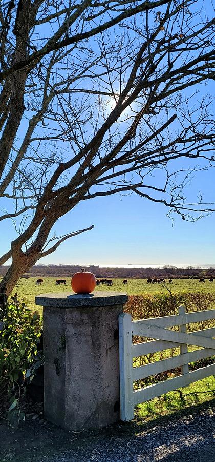 Late Autumn in Little Compton Photograph by Kathy Barney