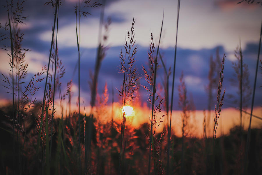 Late Autumn Sunset Photograph by Justin Zoeller - Fine Art America