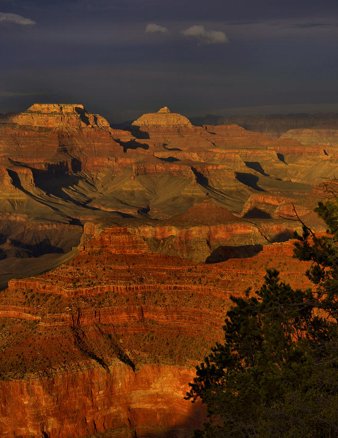 Late Day Grand Canyon Light Photograph by Stephen Vecchiotti | Fine Art ...