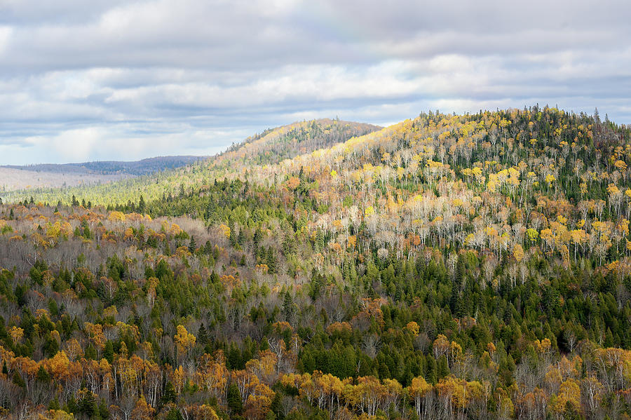 late Fall in the Superior National Forest Photograph by Donald Tredinnick late Fall in the Superior National Forest Photograph by Donald Tredinnick