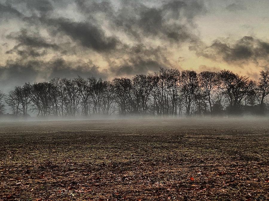 Late fog Photograph by Stephen Dorton