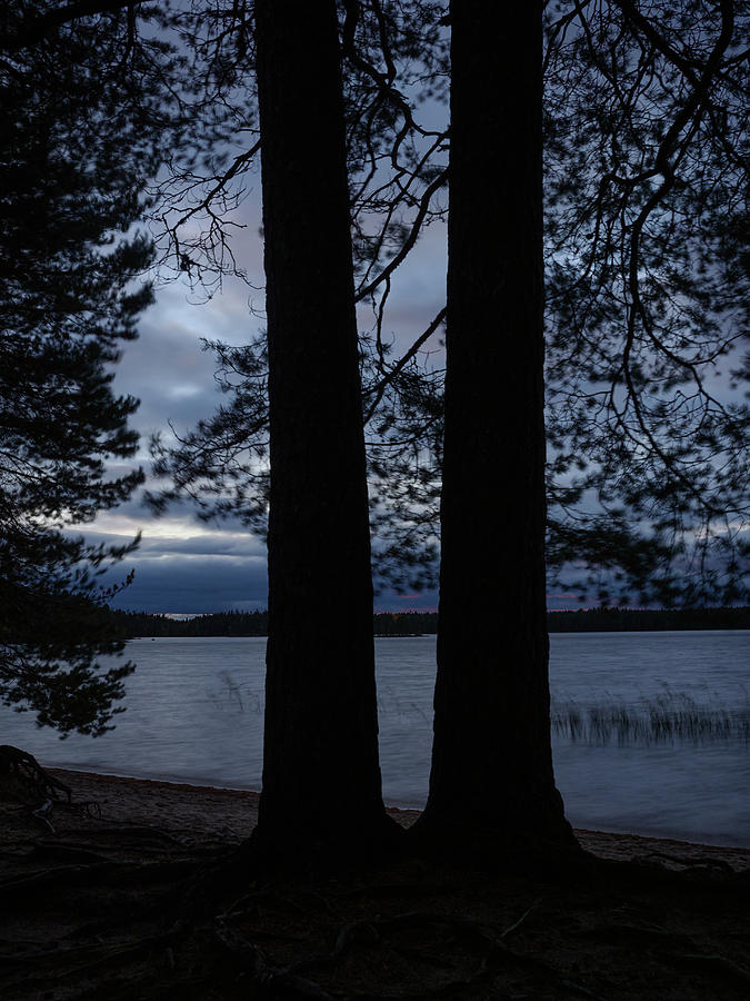 Late in the windy evening at Haukkajarvi Photograph by Jouko Lehto