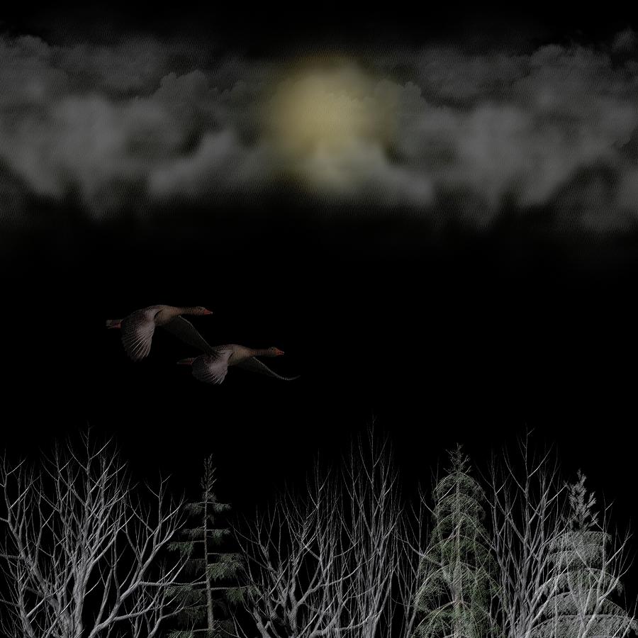 Late Night Flight of Two Geese Digital Art by David Dehner