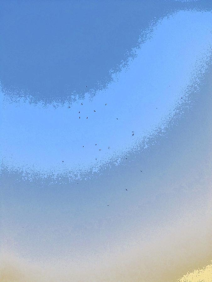 Late November Sky by T Byron K Late November Sky by T Byron K
