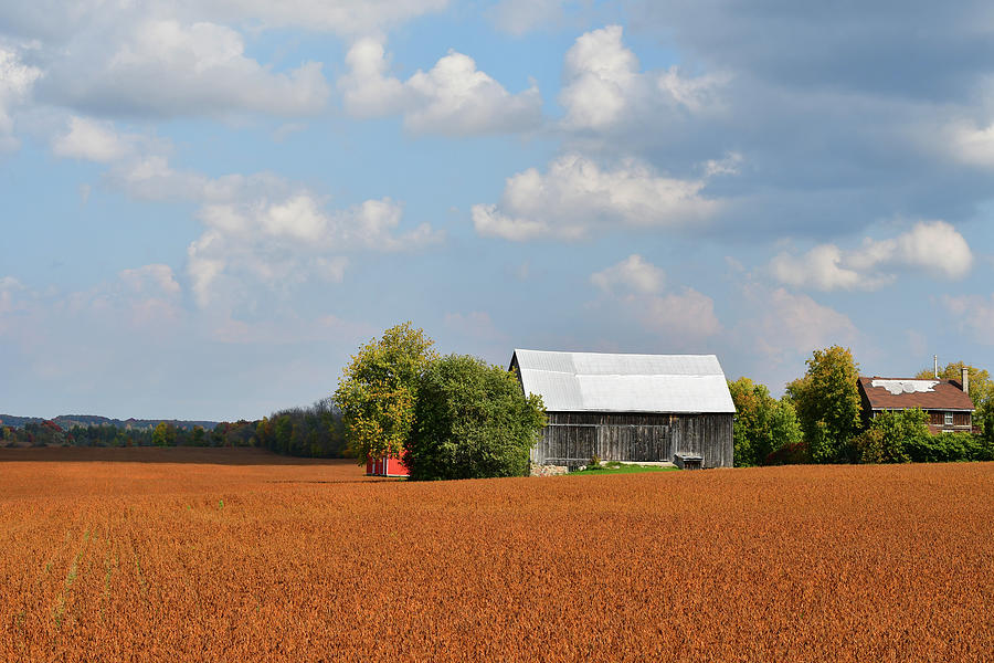 Late September Farm Field Photograph by Lyle Crump - Fine Art America