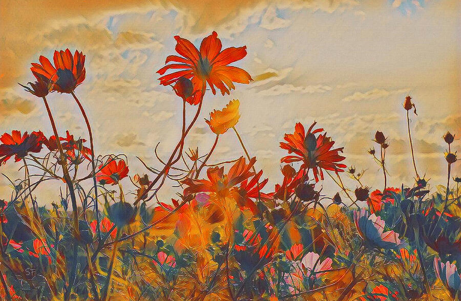 Late Summer Cosmos Botanical Floral Art  Mixed Media by Shelli Fitzpatrick