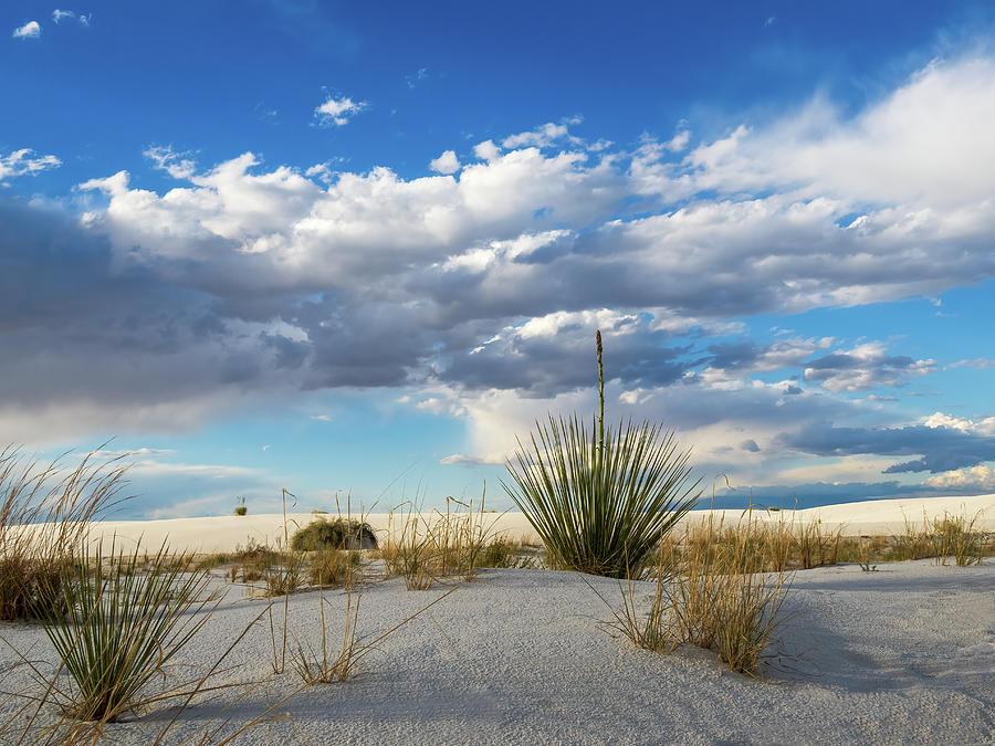 Late White Sands Afternoon Photograph by Joe Schofield