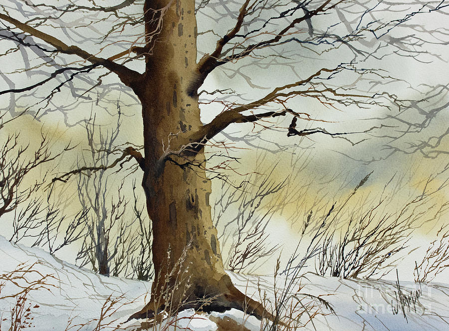 Late Winter in the Woods Painting by James Williamson
