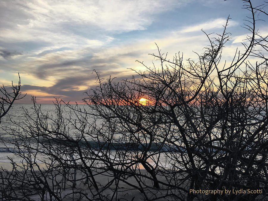 Late Winter Sunset - As Shot Photograph by Susan Molnar