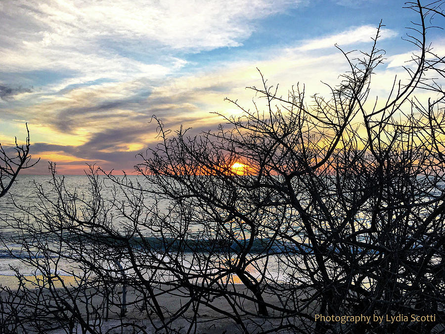 Late Winter Sunset - Edited in Lightroom Photograph by Susan Molnar
