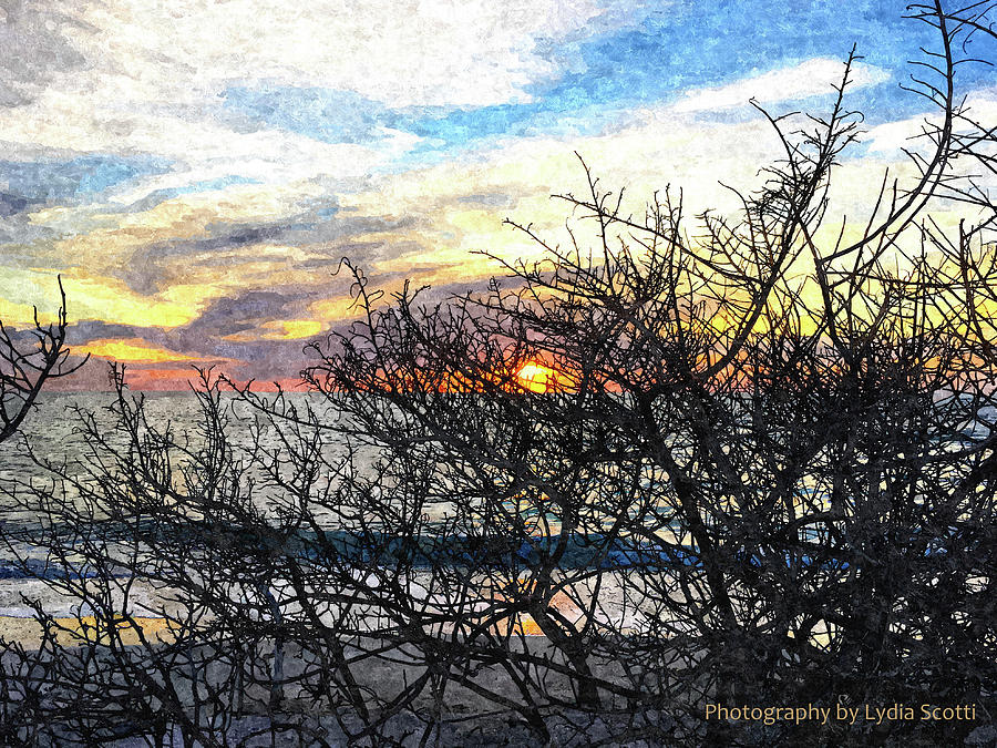 Late Winter Sunset Oil 6-2 Photograph by Susan Molnar