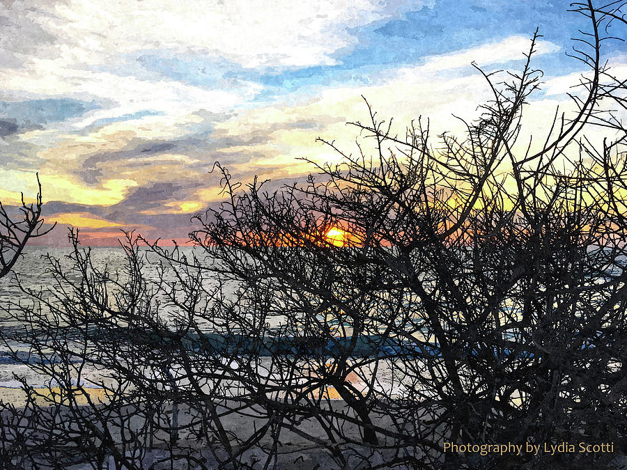 Late Winter Sunset Oil6-1 Photograph by Susan Molnar
