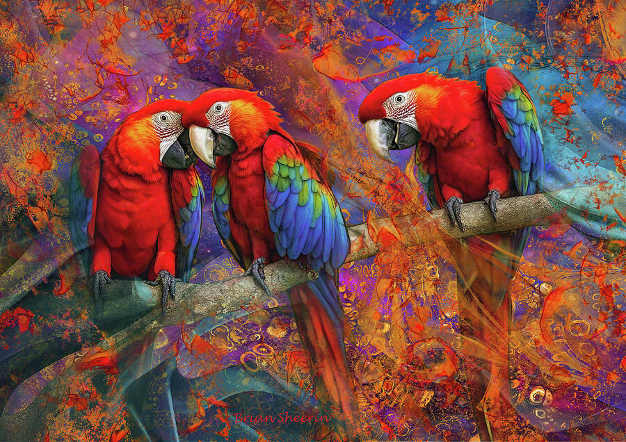 Bird Digital Art - Latest Gossip by Brian Sheerin