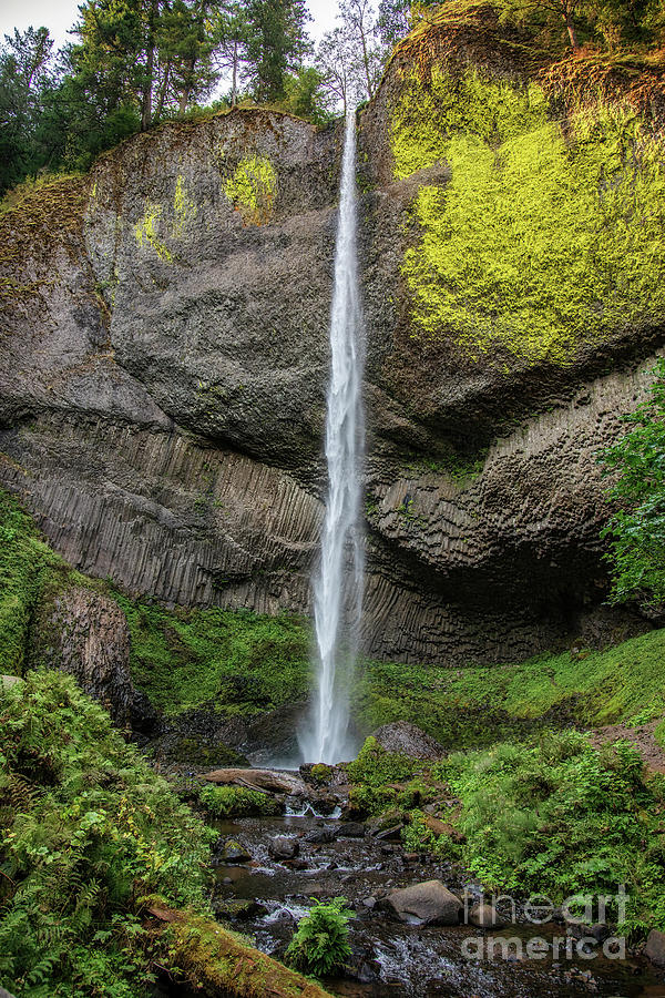 LaTourell Falls Along the Columbia River Gorge Photograph by Scott Pellegrin
