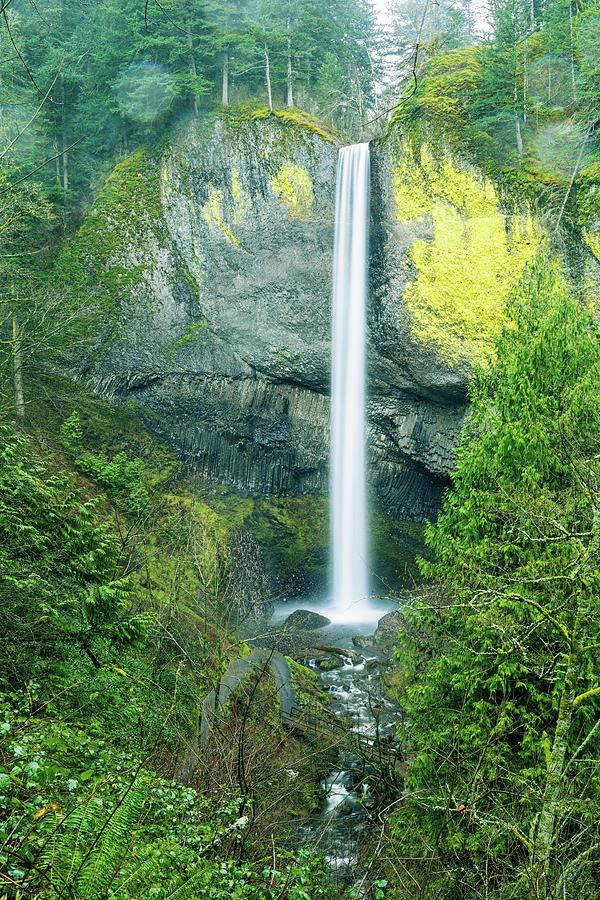 Latourell Falls, Columbia River Gorge Photograph by Aashish Vaidya