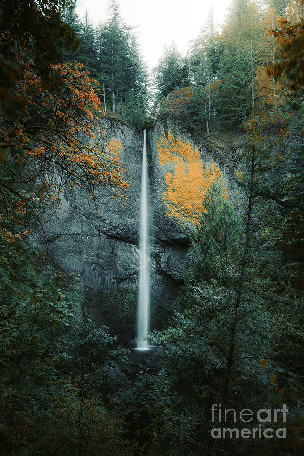Latourell Falls Photograph