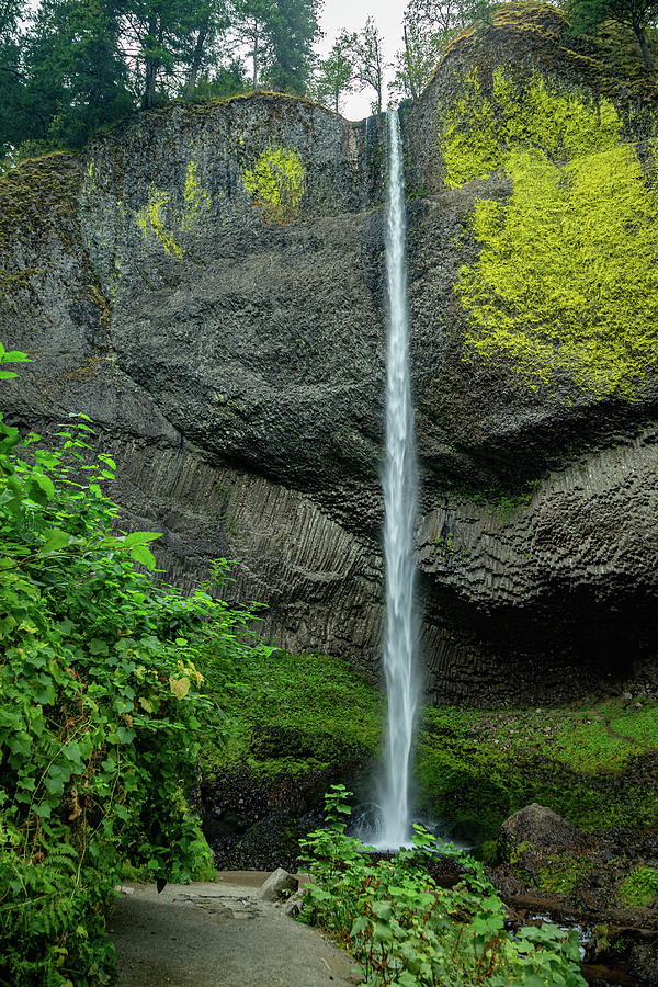 Latourell Falls, Oregon 11 Photograph by Cindy Robinson