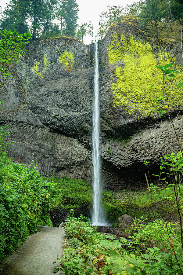 Latourell Falls, Oregon 12 Photograph by Cindy Robinson