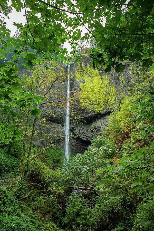 Latourell Falls, Oregon 13 Photograph by Cindy Robinson