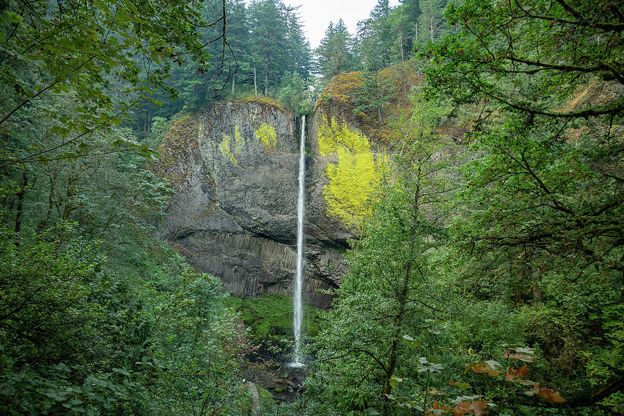 Latourell Falls, Oregon 2 Photograph by Cindy Robinson