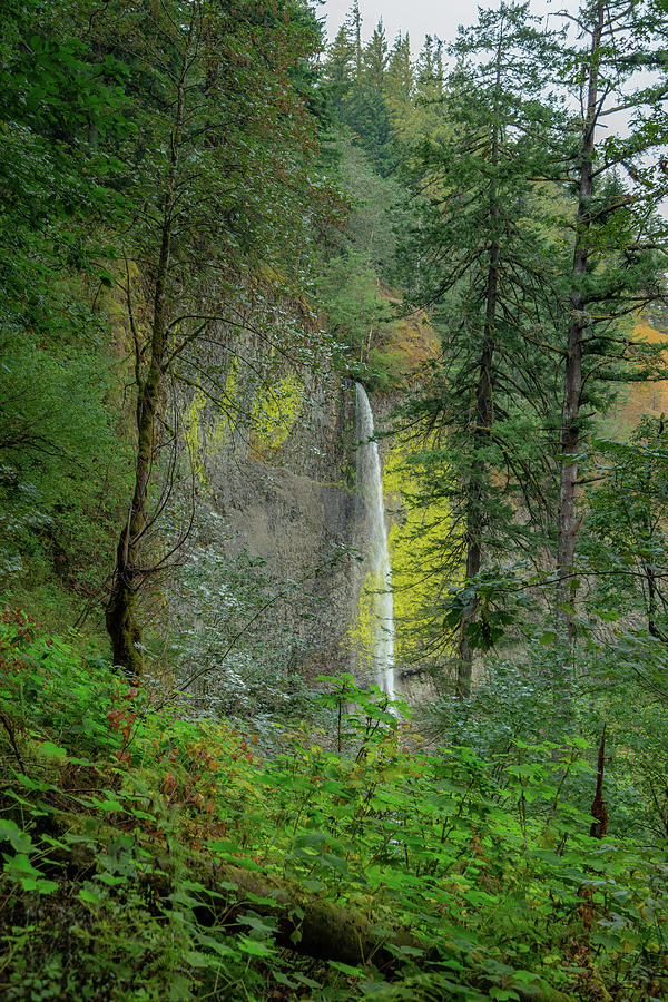 Latourell Falls, Oregon 3 Photograph by Cindy Robinson