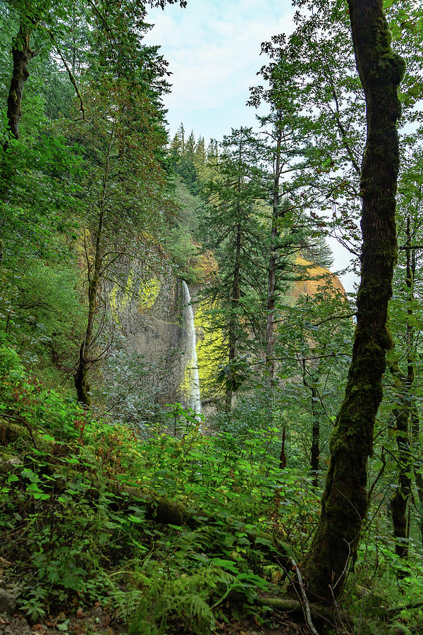 Latourell Falls, Oregon 4 Photograph by Cindy Robinson