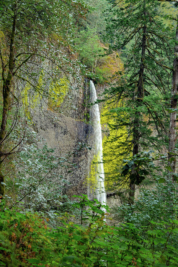 Latourell Falls, Oregon 5 Photograph by Cindy Robinson