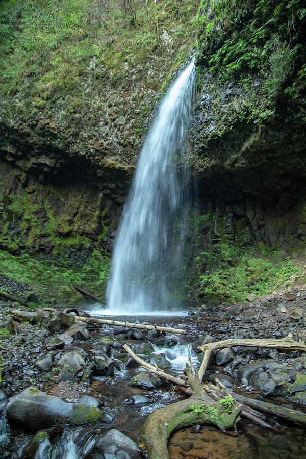 Latourell Falls, Oregon 6 Photograph by Cindy Robinson