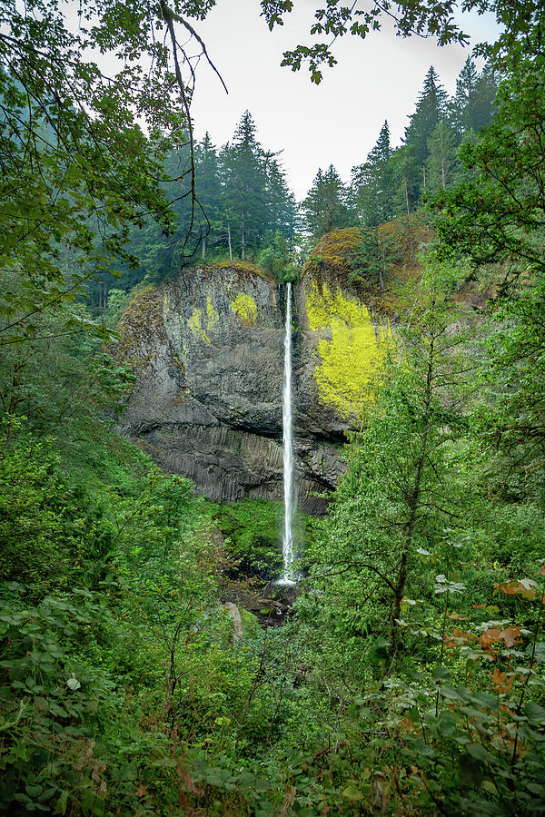 Latourell Falls, Oregon Photograph by Cindy Robinson
