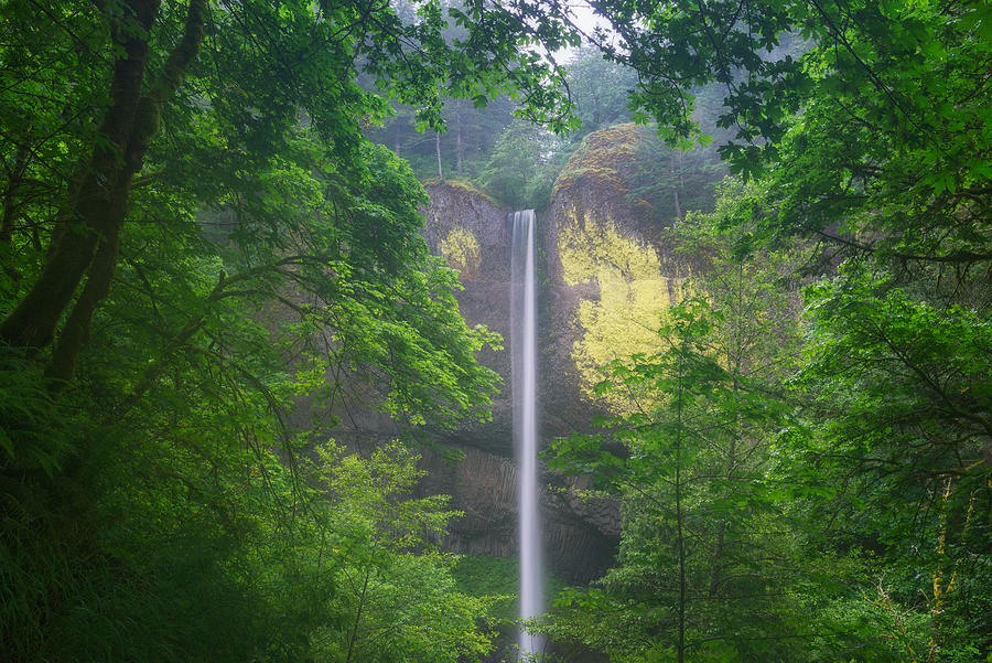 Latourell Falls, Oregon Photograph by TerenceLeezy