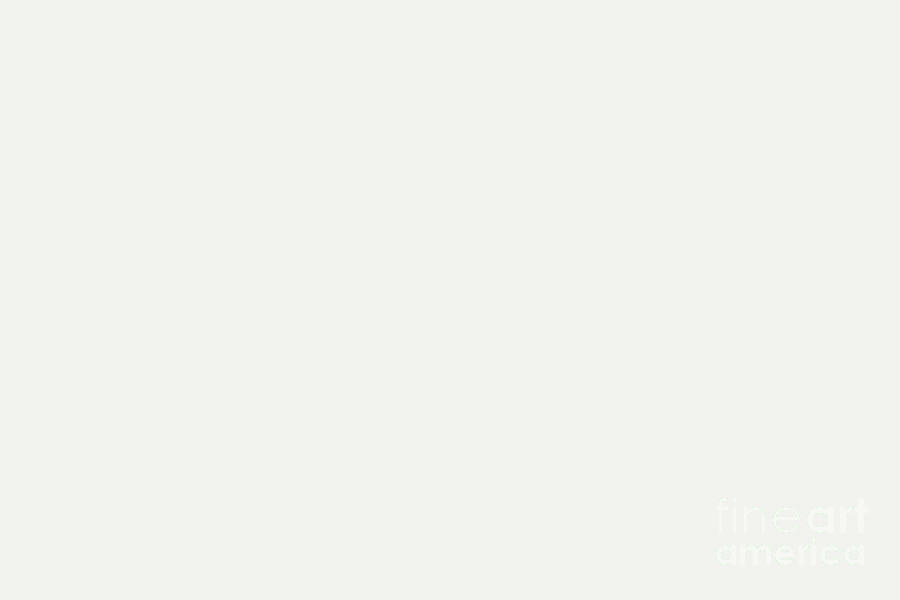 Latte Cream Solid Color Pairs 002W Ultra White 2024 Trending Shade Hue Digital Art by Simply Solids