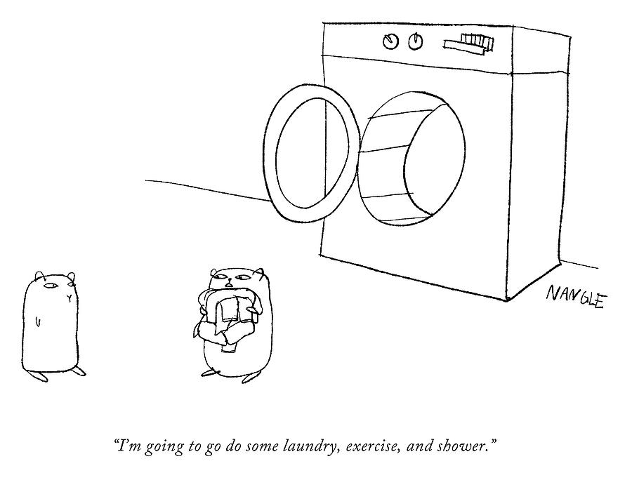 Laundry, Exercise, and Shower Drawing by Jared Nangle