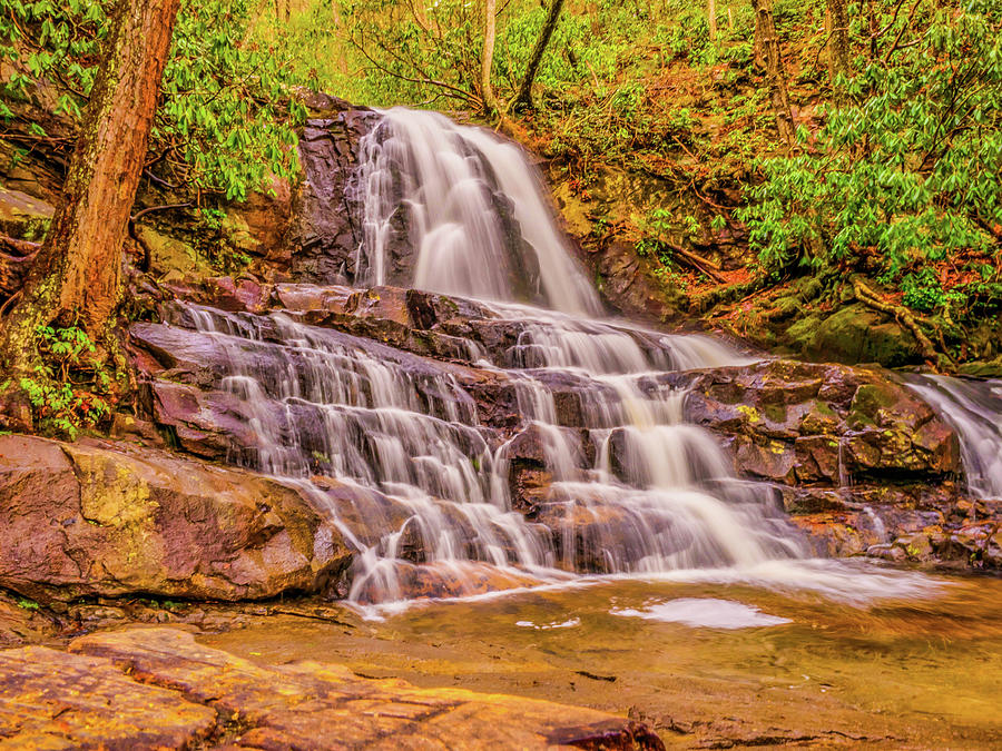 Laurel Falls of the Tennessee Smokies Photograph by James C Richardson