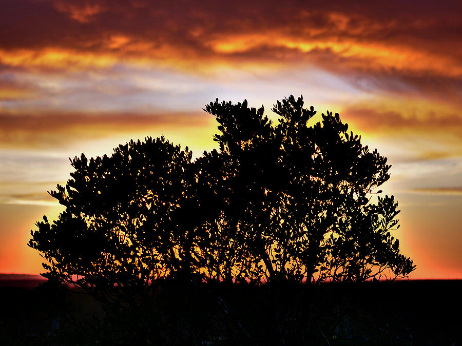 Laurel Ranch Sunset Photograph by Jack Riordan